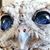 Brandon Fulcher's profile image