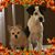 Michelle Bridges's profile image