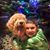 Rosagloria Lopez's profile image