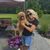 Andrea Marczak Kavanagh's profile image