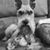 Leann Camizzi James's profile image