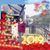 Vandana Gosain's profile image