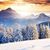 Marilyn Petry's profile image