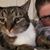 Elizabeth Spess's profile image