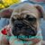 Brandy Roy's profile image