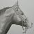 Lydia Stegall's profile image