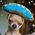 Anna Leal Rodriguez's profile image