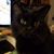 Carol White's profile image