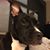 Jowell Lydon's profile image