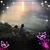 Amber Vanasse's profile image