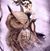 Lisa M Lishego Schwarting's profile image