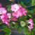 Karen Mceldowney's profile image