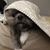 Rochelle Brooks Robbins's profile image