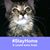 Carol Bennar's profile image