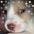 Jackie Houser Robertson's profile image
