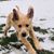 Brian Van Loo's profile image