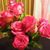 Regina Bellard's profile image