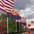 Alice K Hammon's profile image