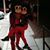 Mike Piccini's profile image