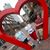 Kelly Smith Groft's profile image