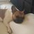 Kim M. Deatherage-Glendenning's profile image