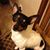Shelly Coker Godwin's profile image