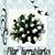 Graciela Cruz's profile image