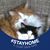 Karen Adams's profile image