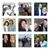 Christopher Hartley's profile image