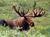 Mason B.'s profile image