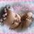 Patricia Mcknight's profile image