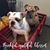 Melissa Formato-Nardone's profile image