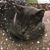 Jacqueline Bell Pritchard's profile image