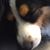 Pam Winder's profile image