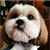 Bobi Doman's profile image