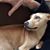 Jane Marmaduke Woodman's profile image