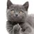 Gary Wheaton's profile image