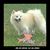 Denise James's profile image
