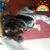 Rory Doane's profile image