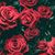 Melissa Schon's profile image