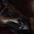 Becky Whitis's profile image