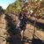 Blanca Lomeli's profile image