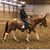 Debbie Herbeck's profile image