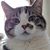 Dominic Mulzer's profile image