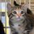 Ann Lasko's profile image