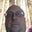 Jay Kloosterman's profile image