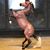 Dawn Erle's profile image