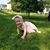 Shaylee Masilunas's profile image