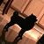 Rocio Cervantes's profile image