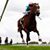 Racehorse Partnerships's profile image